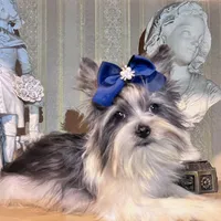 processed/9772e9d8-9781-4915-955c-31186233ba10/listing/b616ee84-5d45-41e8-aa7c-6bc3fc7fdde0/57d092f1-1b3c-40ae-9d00-af16f87283bb