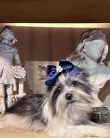 processed/9772e9d8-9781-4915-955c-31186233ba10/listing/b616ee84-5d45-41e8-aa7c-6bc3fc7fdde0/67cc3bac-b245-41d0-bff7-c1e27b3a5cb4