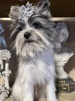 processed/9772e9d8-9781-4915-955c-31186233ba10/listing/b616ee84-5d45-41e8-aa7c-6bc3fc7fdde0/bf198700-01fa-48d1-b5e9-8917ec567d2f