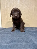 processed/9775da98-aa96-4034-ad15-45a1ac45d7a0/listing/85faa6da-fd8b-494d-9e2b-9f2c41d2837c/07c7bf7f-20d0-440d-b938-e44c03bee1f8