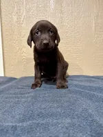 processed/9775da98-aa96-4034-ad15-45a1ac45d7a0/listing/85faa6da-fd8b-494d-9e2b-9f2c41d2837c/302051a6-5d8f-4237-b8dd-799887029ef4