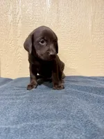 processed/9775da98-aa96-4034-ad15-45a1ac45d7a0/listing/85faa6da-fd8b-494d-9e2b-9f2c41d2837c/b17b443b-bc02-4f56-be65-ed994382f071