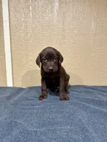 processed/9775da98-aa96-4034-ad15-45a1ac45d7a0/listing/85faa6da-fd8b-494d-9e2b-9f2c41d2837c/c0866473-2344-4326-805a-f9b0d776392e