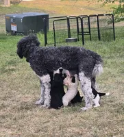 processed/97797a1a-b1dc-407d-a9b1-f46769d6aeab/facility/987b3e0e-a527-4815-b033-caae1cf52f9a