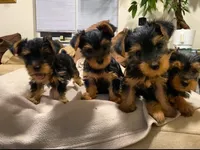 processed/978222d2-8b79-4452-aeb6-49ae3391a3e1/facility/3f5f6779-2e91-4635-9b73-df4e009640ff