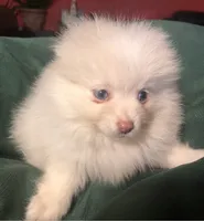 processed/97916975-15fd-43a2-84a3-5e05469cbe1e/listing/4312b263-c7fc-4b14-864a-a7a5beac4ccf/1fe6d572-e319-455a-b703-119ea4042258