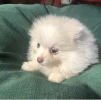 processed/97916975-15fd-43a2-84a3-5e05469cbe1e/listing/4312b263-c7fc-4b14-864a-a7a5beac4ccf/8abc547c-abd6-4ddb-acd6-a0e885c22622