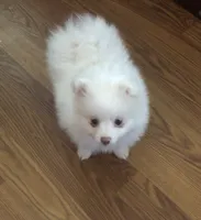 processed/97916975-15fd-43a2-84a3-5e05469cbe1e/listing/4312b263-c7fc-4b14-864a-a7a5beac4ccf/94b1ff0f-2ecd-4075-af32-0f2b0c86e59e