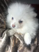 processed/97916975-15fd-43a2-84a3-5e05469cbe1e/listing/4312b263-c7fc-4b14-864a-a7a5beac4ccf/f702b94e-6d4f-4341-a7b8-e15395ddd7df