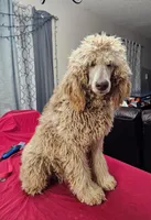 processed/97942525-30ec-4bfc-9c8e-4a245c2c70aa/facility/116ddf36-6c37-492e-8742-f9fec3f2d2d4