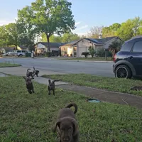 processed/97942525-30ec-4bfc-9c8e-4a245c2c70aa/facility/73a91bba-8d7d-4341-941a-21e0ee54fdb8