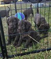 processed/97942525-30ec-4bfc-9c8e-4a245c2c70aa/facility/7fc934e6-a169-4953-a01c-6e316bca3513