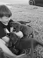 processed/97942525-30ec-4bfc-9c8e-4a245c2c70aa/facility/8770f45b-c6fc-43ee-9468-b4e78ff5d595