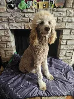 processed/97942525-30ec-4bfc-9c8e-4a245c2c70aa/facility/97a1459b-5204-481d-ab85-5de4c78670ea