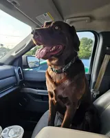 processed/97942525-30ec-4bfc-9c8e-4a245c2c70aa/facility/c12df04a-efe4-4599-8bf9-b95192d7c332