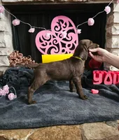 processed/97942525-30ec-4bfc-9c8e-4a245c2c70aa/listing/14035832-b5db-494d-9983-b8d47f9c260f/85b4762d-754a-40b8-8dd6-3ca9731e6ee0