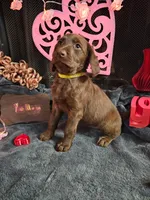 processed/97942525-30ec-4bfc-9c8e-4a245c2c70aa/listing/14035832-b5db-494d-9983-b8d47f9c260f/97a6bdb1-a9da-4065-bbf7-14bbfe61f6b1