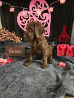 processed/97942525-30ec-4bfc-9c8e-4a245c2c70aa/listing/2206f925-a644-4187-a506-9c2150536254/4ba3940e-f9ca-4b2f-b7af-d31d89fc0cb8