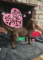 processed/97942525-30ec-4bfc-9c8e-4a245c2c70aa/listing/2206f925-a644-4187-a506-9c2150536254/6677f8df-d24d-441a-a7b6-06c18d821c83