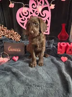 processed/97942525-30ec-4bfc-9c8e-4a245c2c70aa/listing/2206f925-a644-4187-a506-9c2150536254/df727e2d-bb01-48e8-9032-a682420a61d2