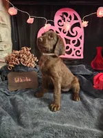 processed/97942525-30ec-4bfc-9c8e-4a245c2c70aa/listing/237e917c-6370-4b46-8883-7cfc10dc2ebd/59c03496-b233-4acb-9088-83798c2ae680