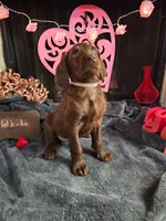 processed/97942525-30ec-4bfc-9c8e-4a245c2c70aa/listing/237e917c-6370-4b46-8883-7cfc10dc2ebd/5dc5371a-3aa3-4068-9fb8-57a791b4ebdc