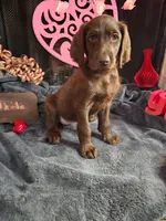 processed/97942525-30ec-4bfc-9c8e-4a245c2c70aa/listing/237e917c-6370-4b46-8883-7cfc10dc2ebd/5dc77f8b-a0bf-4235-91b5-3605d62ca18d