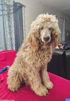 processed/97942525-30ec-4bfc-9c8e-4a245c2c70aa/listing/237e917c-6370-4b46-8883-7cfc10dc2ebd/5e147984-3546-4936-8d13-4319caea8e94