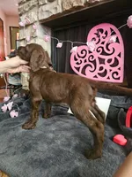 processed/97942525-30ec-4bfc-9c8e-4a245c2c70aa/listing/237e917c-6370-4b46-8883-7cfc10dc2ebd/718df009-cbd3-48d6-ab98-4d4fad8e09a2