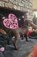 processed/97942525-30ec-4bfc-9c8e-4a245c2c70aa/listing/237e917c-6370-4b46-8883-7cfc10dc2ebd/d4b87f50-258a-48f1-a3d0-6dc7cd3acc22