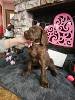 processed/97942525-30ec-4bfc-9c8e-4a245c2c70aa/listing/237e917c-6370-4b46-8883-7cfc10dc2ebd/f85e061e-9adf-4859-86af-93781b633e3a