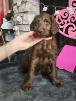 processed/97942525-30ec-4bfc-9c8e-4a245c2c70aa/listing/7871da30-f34b-4011-b21c-0c0442b83384/17d99ac0-1d00-4f33-9198-a5ef5bf5c6eb