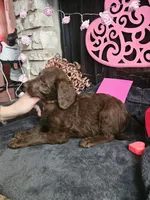 processed/97942525-30ec-4bfc-9c8e-4a245c2c70aa/listing/7871da30-f34b-4011-b21c-0c0442b83384/5c2fbdd5-0c77-4ef7-9b41-1a6cb5e14a0a