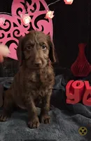 processed/97942525-30ec-4bfc-9c8e-4a245c2c70aa/listing/7871da30-f34b-4011-b21c-0c0442b83384/e6c9413d-0c45-4dc4-bdff-c85f44c4ddf3