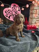 processed/97942525-30ec-4bfc-9c8e-4a245c2c70aa/listing/afafb018-9b97-4f66-98be-8323ca710e26/04b6d54a-d0ba-45eb-97cc-0ed385ce1c25