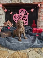 processed/97942525-30ec-4bfc-9c8e-4a245c2c70aa/listing/afafb018-9b97-4f66-98be-8323ca710e26/61f6c41c-272b-40be-ba45-29c49f28a989