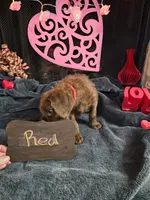 processed/97942525-30ec-4bfc-9c8e-4a245c2c70aa/listing/afafb018-9b97-4f66-98be-8323ca710e26/75bfc253-c5e2-4edc-a7da-7fb3439b3fef