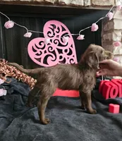 processed/97942525-30ec-4bfc-9c8e-4a245c2c70aa/listing/afafb018-9b97-4f66-98be-8323ca710e26/edccc7d5-8792-4e52-a315-7393f6b86fac