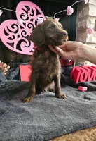 processed/97942525-30ec-4bfc-9c8e-4a245c2c70aa/listing/afafb018-9b97-4f66-98be-8323ca710e26/fd870c67-a772-4e2b-9f93-58af9b1bcf8d