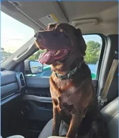 processed/97942525-30ec-4bfc-9c8e-4a245c2c70aa/listing/c002d0df-1067-44d9-afcb-931fcecac631/09baa7fb-ce85-46d1-94de-17130b6198e7