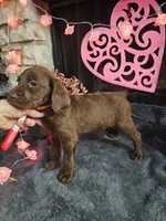 processed/97942525-30ec-4bfc-9c8e-4a245c2c70aa/listing/c002d0df-1067-44d9-afcb-931fcecac631/4a8f4926-80a3-47b2-9863-57935bdf80e9