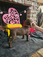 processed/97942525-30ec-4bfc-9c8e-4a245c2c70aa/listing/c002d0df-1067-44d9-afcb-931fcecac631/daa60162-fe92-49b6-93e9-1a0546811f4b