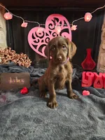 processed/97942525-30ec-4bfc-9c8e-4a245c2c70aa/listing/d1cf35eb-dce7-41b8-9983-28a964aa7129/563c31ef-af40-4b74-bd78-48e2e1ee004c