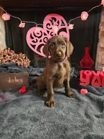 processed/97942525-30ec-4bfc-9c8e-4a245c2c70aa/listing/d1cf35eb-dce7-41b8-9983-28a964aa7129/cfa6b2da-ad57-4415-bb1b-1480704dc6d6