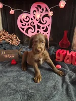 processed/97942525-30ec-4bfc-9c8e-4a245c2c70aa/listing/d2379cdf-4d8b-4d10-b279-782edcfae560/36a26047-e66a-40b2-81cf-67a7918c43aa