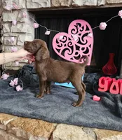 processed/97942525-30ec-4bfc-9c8e-4a245c2c70aa/listing/d2379cdf-4d8b-4d10-b279-782edcfae560/52f5b5b0-38b6-418e-a257-9d91a02d4711