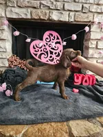 processed/97942525-30ec-4bfc-9c8e-4a245c2c70aa/listing/d2379cdf-4d8b-4d10-b279-782edcfae560/ca9a56f7-1d0c-4696-86b9-346af585aadb