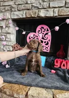 processed/97942525-30ec-4bfc-9c8e-4a245c2c70aa/listing/d2379cdf-4d8b-4d10-b279-782edcfae560/fb882773-06cd-40a4-b6b3-cf931beeac3b