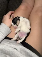 processed/9798a039-9cfd-49e8-b6f2-5b61c148b358/facility/595edc35-ee47-4785-b425-ba811a4a0680