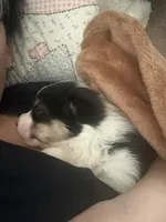 processed/9798a039-9cfd-49e8-b6f2-5b61c148b358/facility/fd5729c1-052a-4cb3-9f92-7ffc1fc7aa90